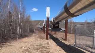 Trans Alaska Oil Pipeline Tour [upl. by Webb750]