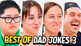 Dad Jokes  Dont laugh Challenge  Best Moments 3  Raise Your Spirits [upl. by Efi405]