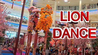 Lion Dance  Chinese New Year Celebration in Malaysia  CNY Malaysia 2023 [upl. by Eivla324]