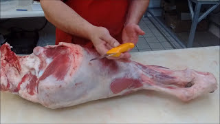 Recette Boucherie Charcuterie  Désossage et Démontage dun cuissot de Veau [upl. by Newmann893]