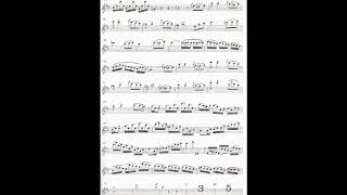 SMercadante POLACCA from Flute Concerto D duraccompaniment [upl. by Ammadis]