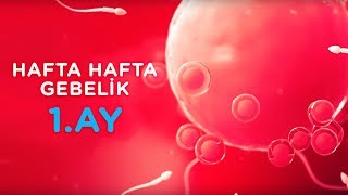 Hamilelikte 1 Ay  Hafta Hafta Gebelik  İlk Adımlarım [upl. by Fezoj]