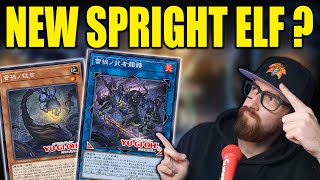 CRAZY NEW ARCHETYPE FOR YUGIOH  RAIKA [upl. by Lyndell]