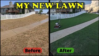 Growing A NEW Lush Lawn from Bermuda Sprigs [upl. by Aeel]