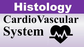 Chp12 Histology Inder Bir Singh  Histology of CardioVascular System  Histology Lectures [upl. by Adriana]