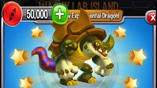 Dragon City  Experimental Dragon Wackylab Island  Walkthrough Completed 2017 [upl. by Kwapong]