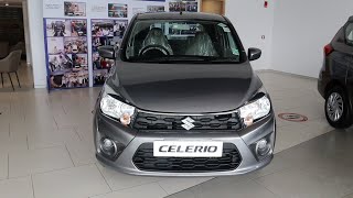 Maruti Suzuki Celerio VXI 2021  Celerio 2021 CNG  Review  Price  Mileage  Interior Accessories [upl. by Ancilin]