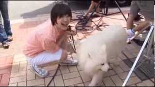 Minho amp Sulli Minsul scenes  with Sangchu TTBY Making of DVD [upl. by Aicirtac980]