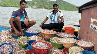 Bombil Masemari  डोलीला आले होडी भरून बोंबिल  बोंबिल माशाची तुफान मासेमारी  Bombay Duck [upl. by Swift640]