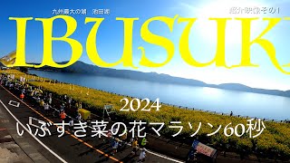 34 The 60 sec video 指宿「2024いぶすき菜の花マラソン 紹介映像その1」4Kでの視聴を推奨します。 [upl. by Macur5]