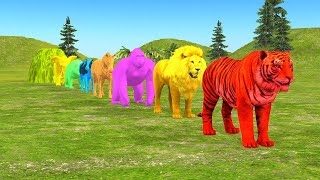 Long Slide Game With Elephant Gorilla Buffalo Hippopotamus Tiger  3d Animal Game  Funny 3d Animals [upl. by Terryl409]