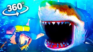 360 Video  Shark Encounter VR Experience [upl. by Adnorat]