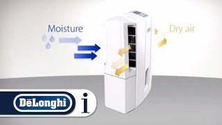 How a DeLonghi dehumidifier works [upl. by Haet981]