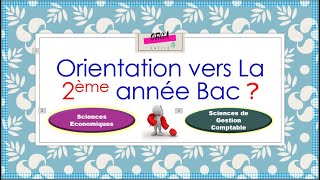 📌1ère Bac Sc Eco  LOrientation vers la 2èma année Bac 👉 SE ❓ ou SGC ❓ التوجيه الصائب 🤔 [upl. by Dlonyar]