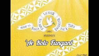 Hiva Usu quotAE KOLO FUNGANIquot ❤❤❤🥰🥰🥰 Siasi O Tonga Tauataina Sydney Australia [upl. by Markos]