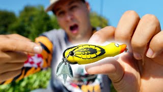 Fishing NEW Topwater DUCK Lure for Snakehead [upl. by Center]