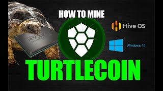 How To Mine TurtleCoin  Windows 10 Hive OS  CPU MINING [upl. by Okire]