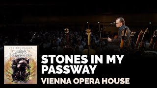 Joe Bonamassa Official  quotStones in My Passwayquot  Live at the Vienna Opera House [upl. by Marabelle]