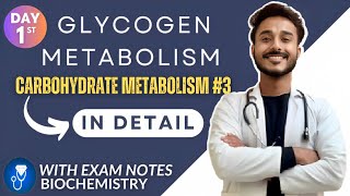 glycogen metabolism biochemistry  glycogenesis biochemistry  glycogenolysis biochemistry [upl. by Paola]