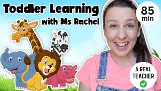 Toddler Learning with Ms Rachel  Learn Zoo Animals  Kids Songs  Educational Videos for Toddlers [upl. by Garbers]