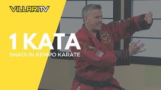 Learn 1 Kata from Grandmaster Villaris  Shaolin Kempo Karate [upl. by Pegeen]