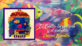 El Gallo la Gallina y el Caballo  La Sonora Matancera  Discos Fuentes Audio Oficial [upl. by Merissa]