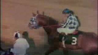 SECRETARIAT  1973 Preakness Stakes Recap [upl. by Laenaj]