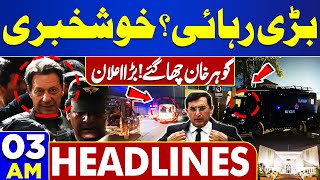 Dunya News Headlines 300 AM  Big Bail Accepted  Supreme Court In Action  31 Mar 2024 [upl. by Susanetta]