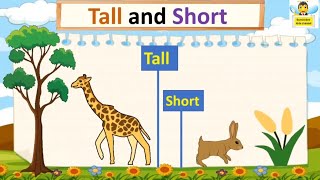 Tall and Short tall and short concept for kindergarten  tall and short song for kids [upl. by Steinman]