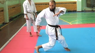 Shotokan Kata Empi standard KWF by Mourad Saihia part 1 [upl. by Anhavas]