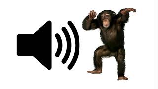 Monkey  Sound Effect [upl. by Amann]