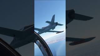 Virtual flight with 2 friends  MB339 of the Italian Air Force [upl. by Lauzon]