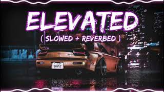 Shubh  Elevated Official Music Video [upl. by Annasiul]