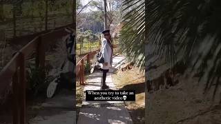 Funniest fails 😂😂😂 funny fails viral shorts fail [upl. by Trinetta]