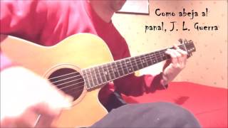 Como abeja al panal Juan Luis Guerra cover guitarra fingerstyle [upl. by Macario972]