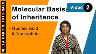 Molecular Basis of inheritance  NEET  Nucleic Acid amp Nucleotide  Neela Bakore Tutorials [upl. by Hacceber]