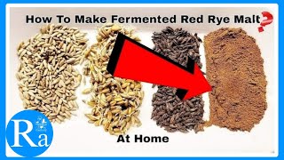 How To Make Fermented Red Rye Malt at Home [upl. by Aklam]