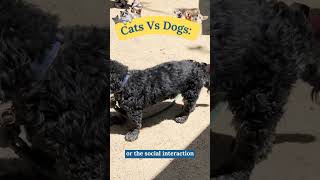 Cats Vs Dogs The Science Has Spoken alzheimers [upl. by Marena]