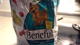 Lawsuit claims Purina Beneful dry kibble dog food is killing dogs [upl. by Kramnhoj409]