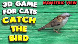 3D game for cats  CATCH THE BIRD isometric view  4K 60 fps stereo sound [upl. by Claresta]