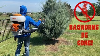 Get Rid Of Bagworms  Here’s How [upl. by Quiteria]