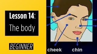 Beginner Levels  Lesson 14 The Body [upl. by Znerol98]