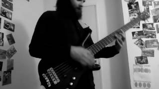 Woodpeckers from Mars Bass cover by James Rayment [upl. by Gnoud]