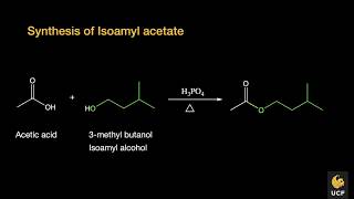 Synthesis of isoamyl acetate overview and QampA [upl. by Anaibib]