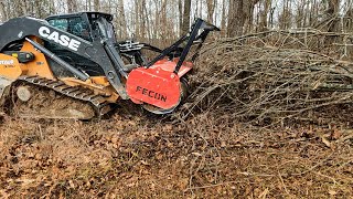 Forestry Mulching with the Case DL550 Minotaur Fecon and Dirt Perfect [upl. by Yzdnil]