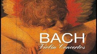 JS Bach The Violin Concertos [upl. by Spalding]