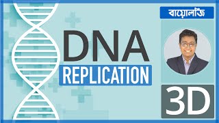 All About DNA Replication in বাংলা  Super Easy [upl. by Ahswat]