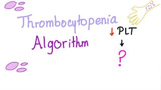 Thrombocytopenia Evaluation Algorithm [upl. by Burr270]