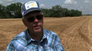 Wheat Harvest FollowUp aired 62113 [upl. by Nikoletta]