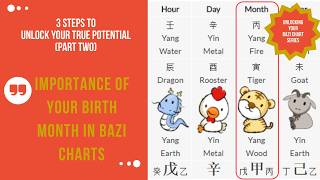 Part 2 Steps to Unlock Secrets of Your Bazi Chart  Importance of Your Birth Month [upl. by Stila]